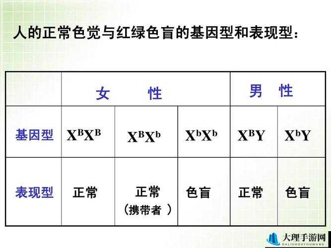 女性开四门是哪四门：关于其含义与具体所指的详细解读