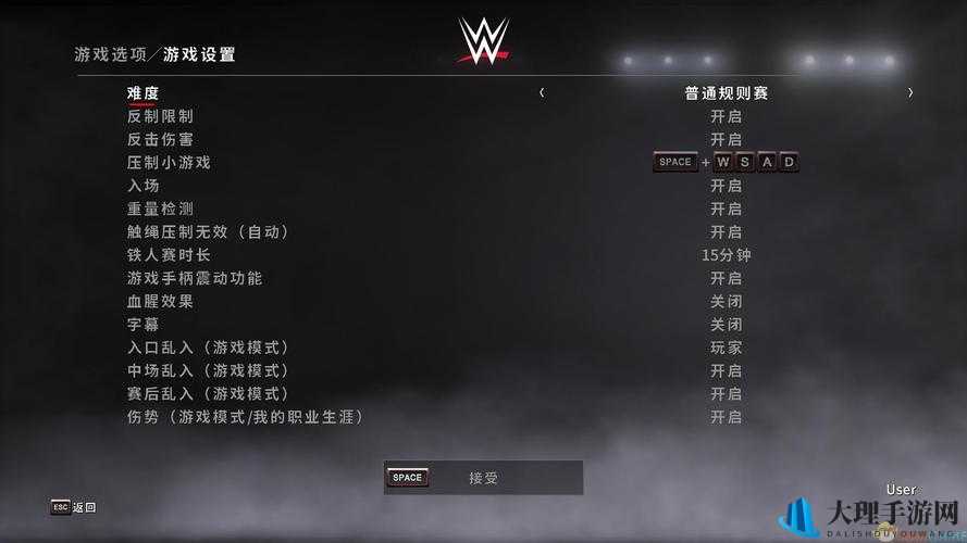 WWE 2K17游戏中出血设定调整技巧全面解析